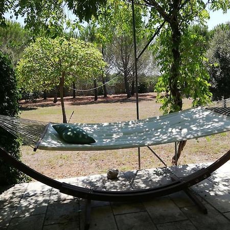 Villa Del Glicine مورو ليتشيزي المظهر الخارجي الصورة