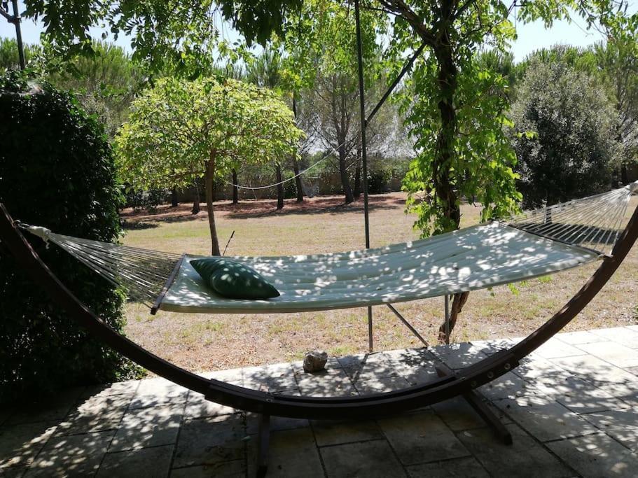 Villa Del Glicine مورو ليتشيزي المظهر الخارجي الصورة